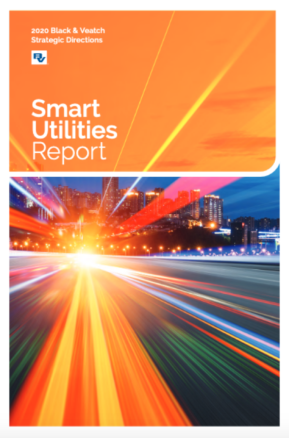BV Smart Utilities Report 2020